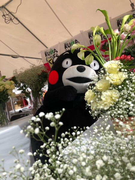 003-サプ (20).jpg